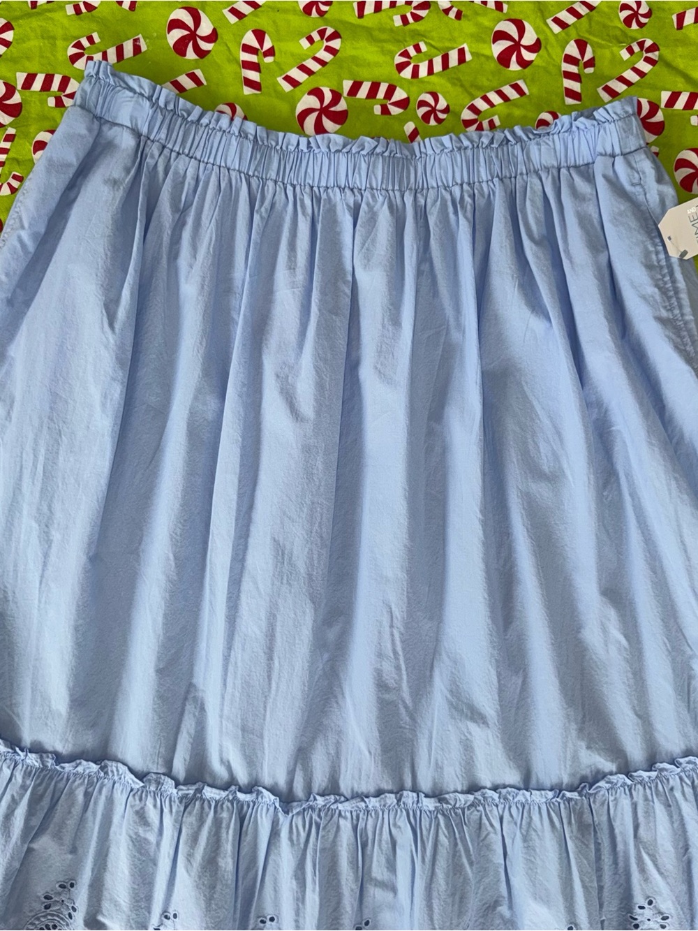 Time and Tru Cotton Eyelet A-Line Midi Skirt XL Light Blue Elastic Waist Pockets - Picture 5 of 16